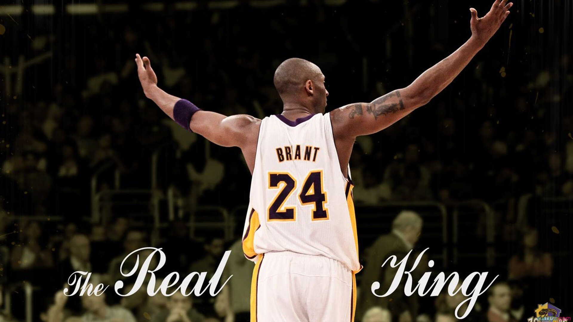 世界杯影响：各大联赛新星的崛起契机，世界杯队