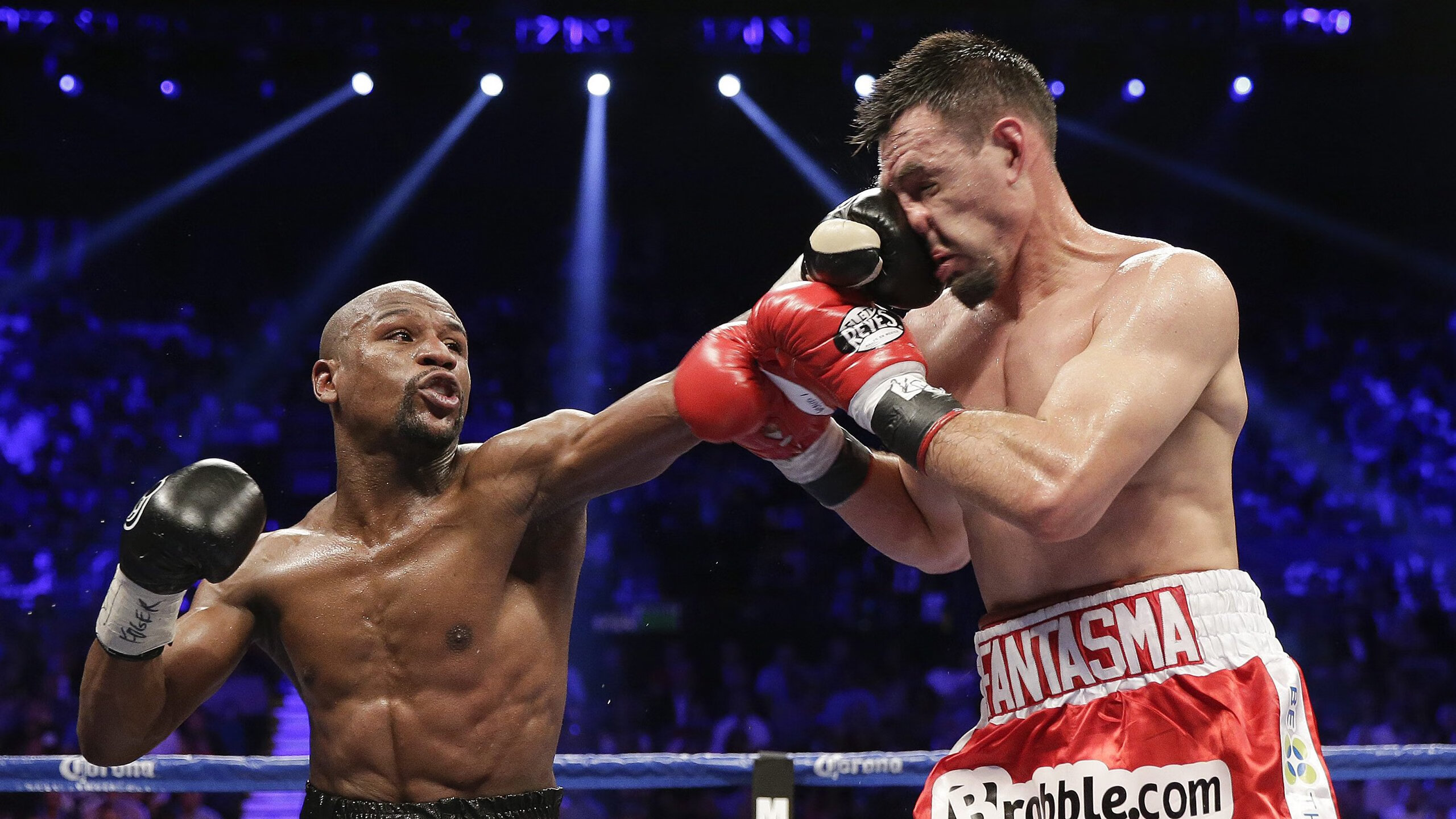 世界杯影响：五大联赛的变化与机遇，世界杯的参赛队伍